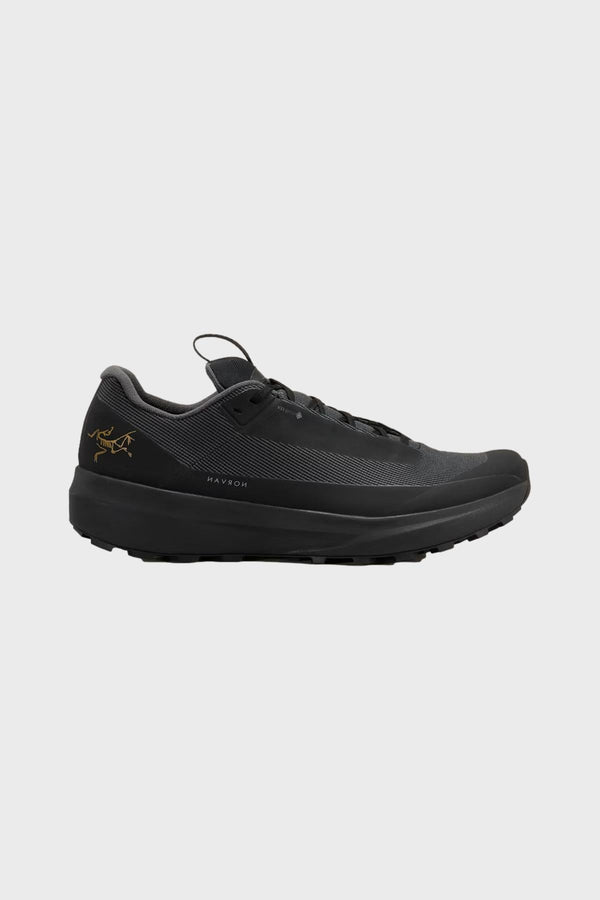 ARC&#39;TERYX - アークテリクス ノーバンLD ARC'TERYX】ロングディスタンスモデル ｢NORVAN LD 3 GORE-TEX｣が