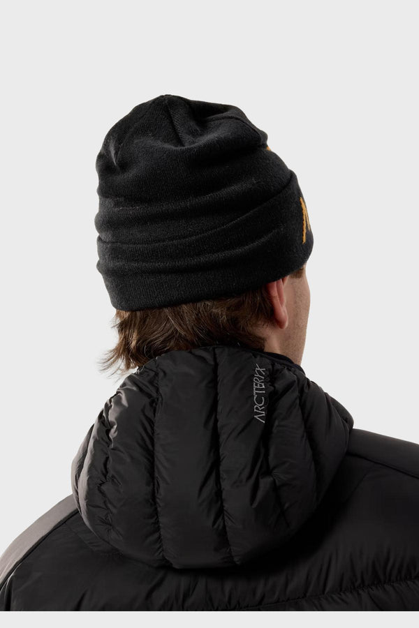 ARC'TERYX - BIRD WORD TOQUE - DISTANCE STORE - GLOBAL