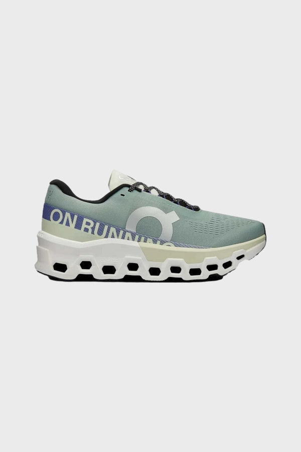 On CloudMonster 2 mineral/aloe ウィメンズ25cm ON Cloudmonster 2 - Mineral - Aloe – Fit2Run