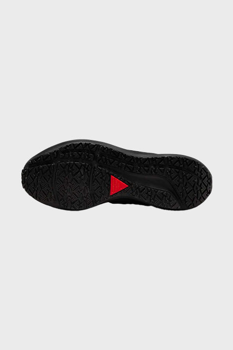 NIKE W - エア ズーム ペガサス 39 シールド - DISTANCE