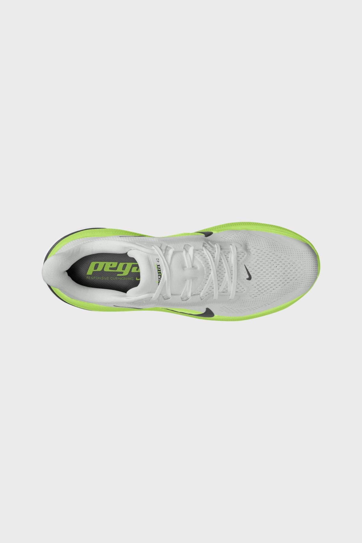 Pegasus 42
