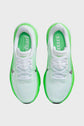 Pegasus 42