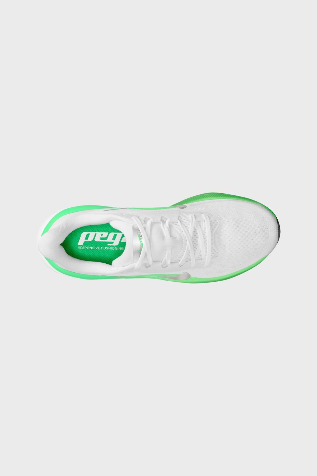 Pegasus 42