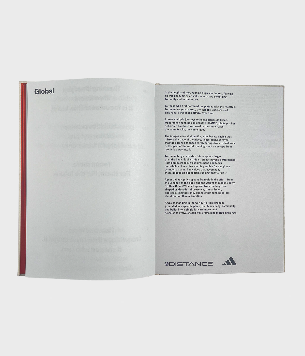 DISTANCE - GLOBAL - BOOK SERIES