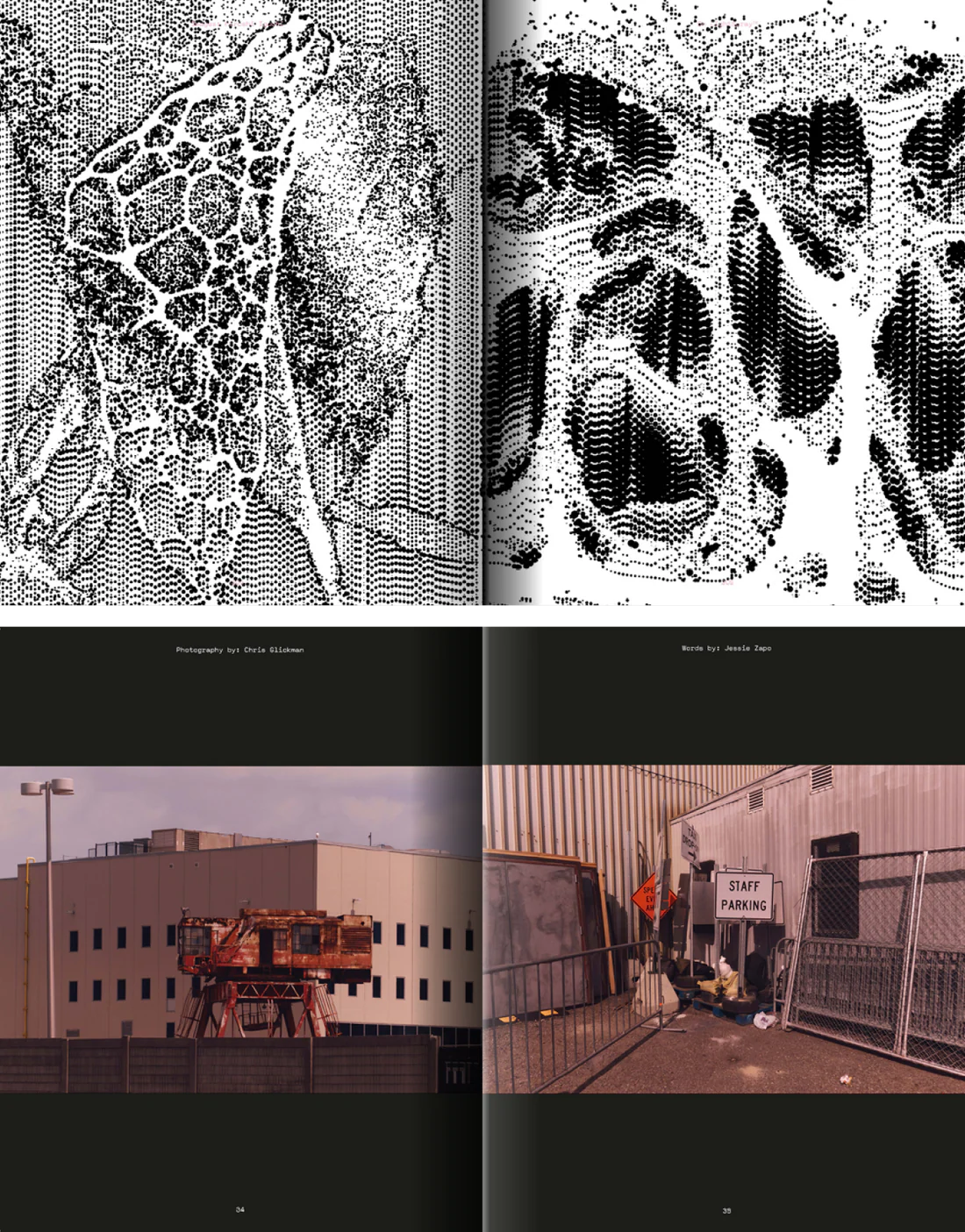 MENTAL ATHLETIC ISSUE #4 - COVER 4 HOMERUN