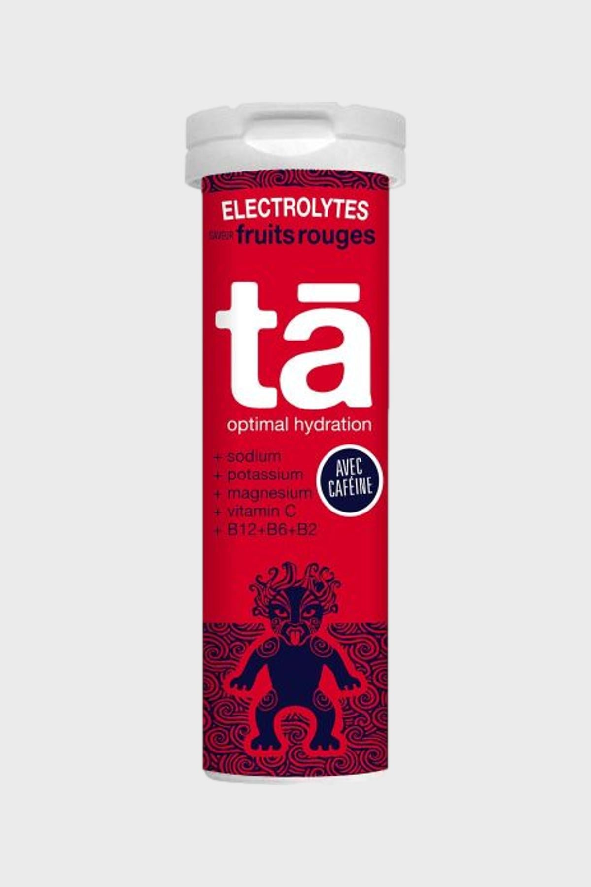 TA エネルギー - 電解質