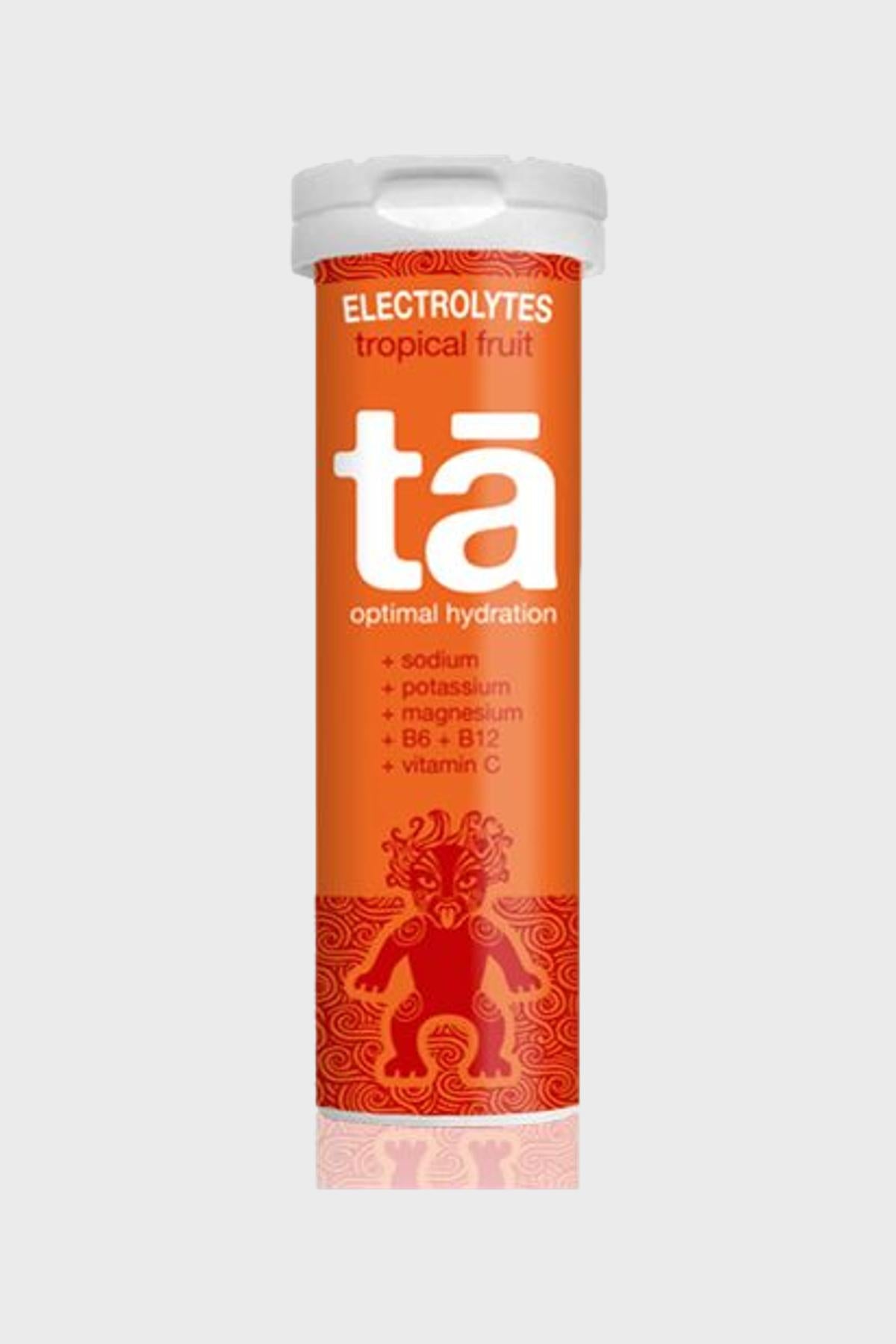TA エネルギー - 電解質