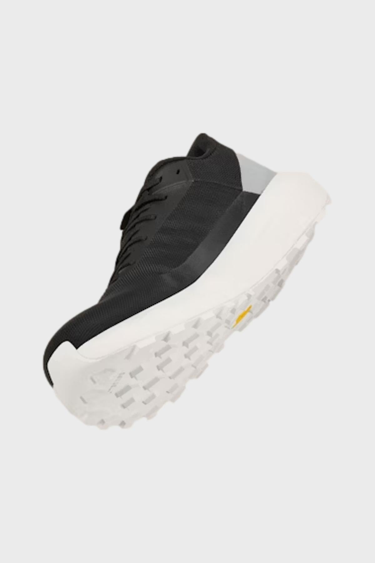 アークテリクス - ノーバン LD 3