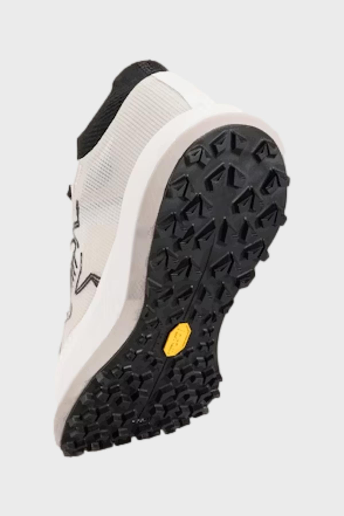 アークテリクス - ノーバン LD 3