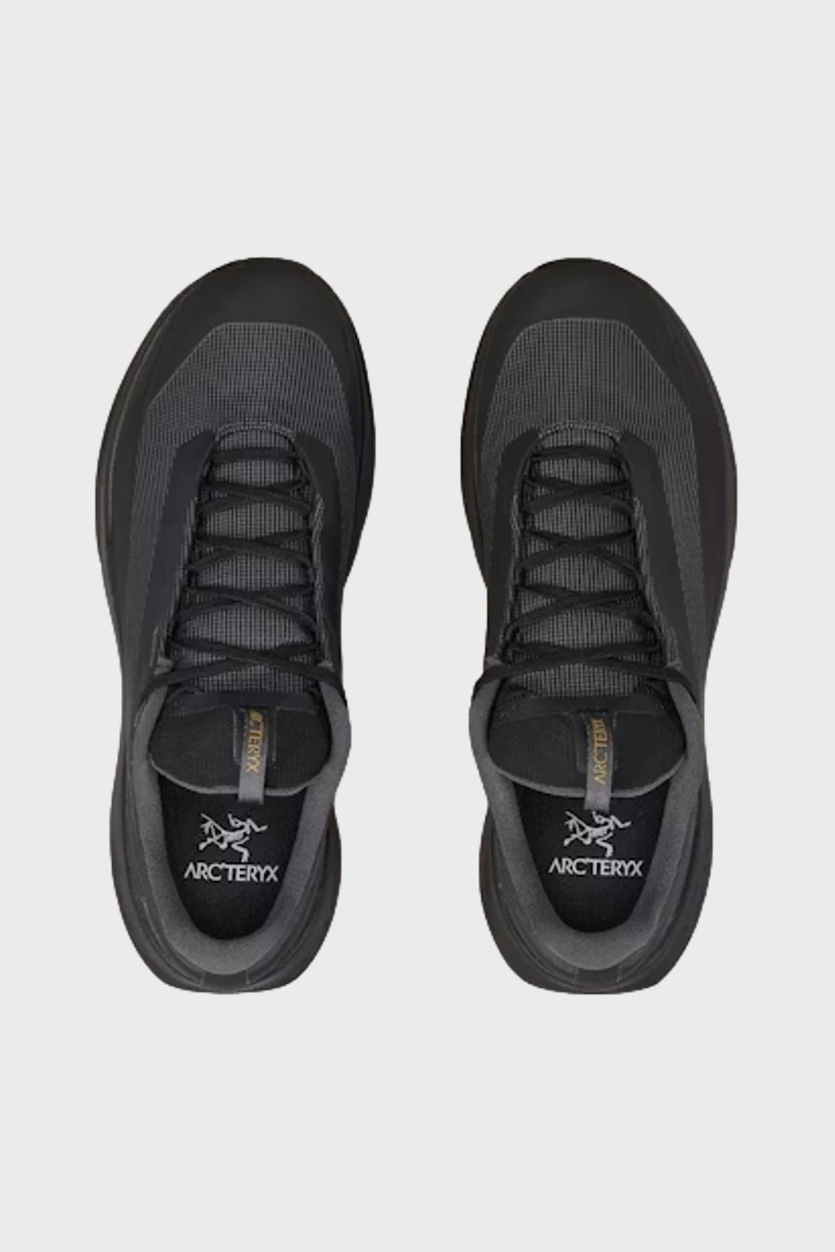 アークテリクス - ノーバン LD 3 GTX