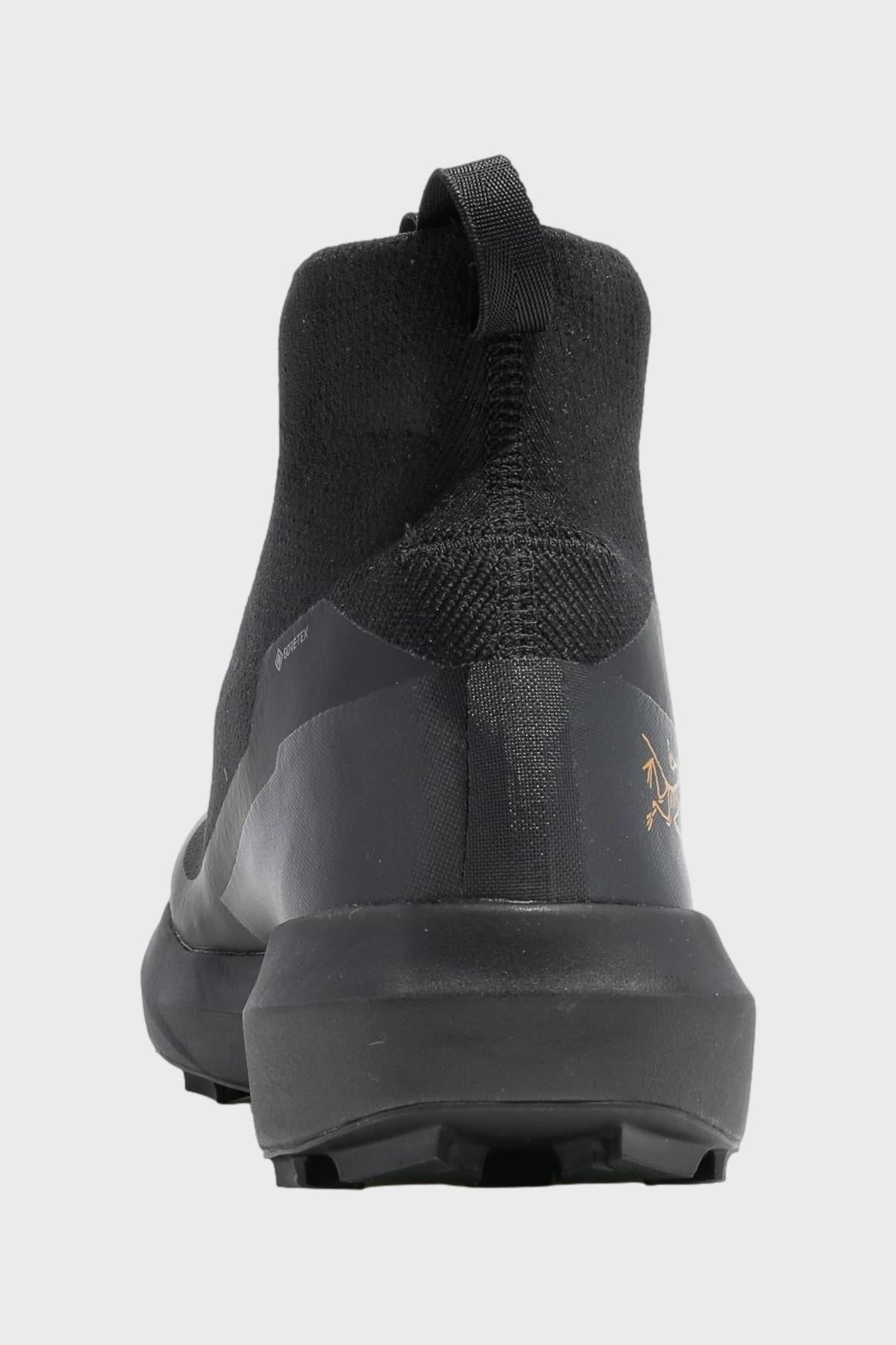 アークテリクス - ノーバン LD 3 GTX