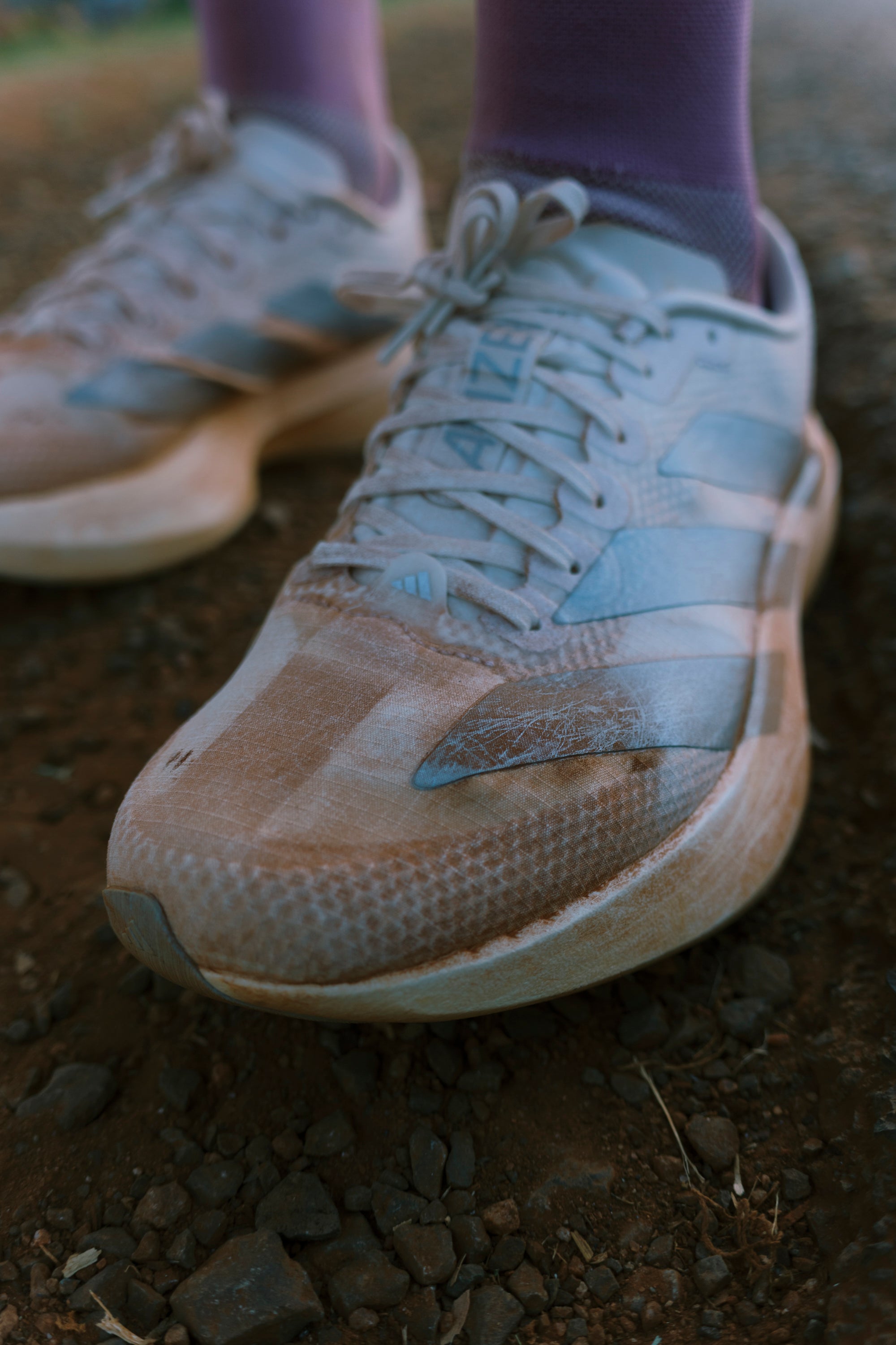 ADIZERO EVO SL Adidas - Chaussure Running Femme | Distance