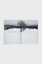 Magazine B  Issue 03: Snow Peak